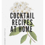 Cocktail Recipes at Home