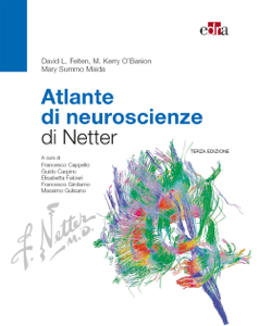 Atlante di neuroscienze di Netter - 3 ed.