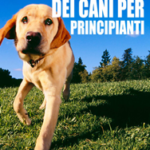Guida completa all’addestramento dei cani per principianti