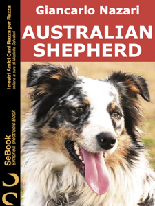 Australian Shepherd - 31.