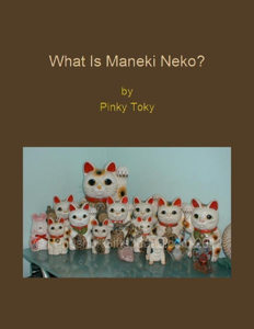 What Is Maneki Neko?