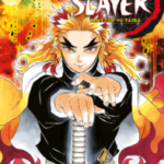 Demon Slayer - Kimetsu no yaiba 8