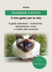 Siamese Gatto
