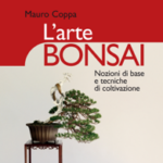 L’arte Bonsai
