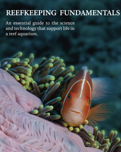 Reefkeeping Fundamentals