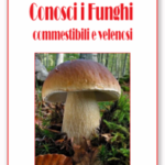 Conosci i Funghi commestibili e velenosi