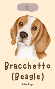 Bracchetto (Beagle)